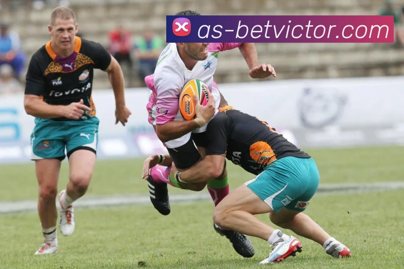 betvictor伟德官网APP 高清赛事图