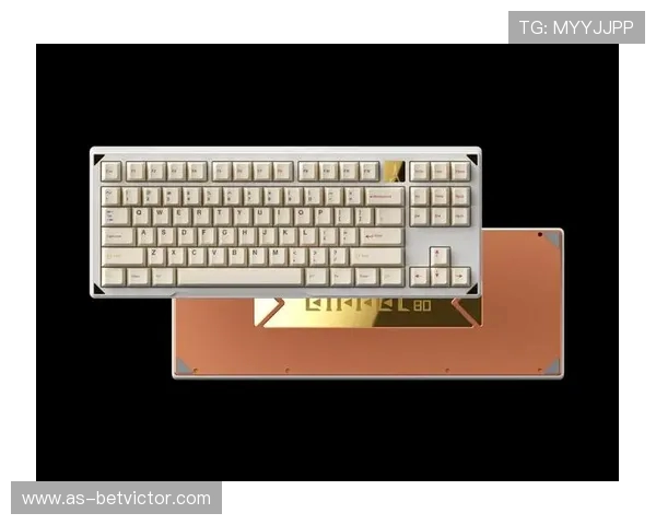 使用WK87键盘玩游戏的体验分析与性能评测